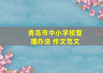 青岛市中小学校管理办法 作文范文